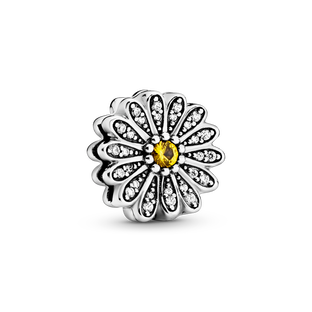 闪亮雏菊固定夹